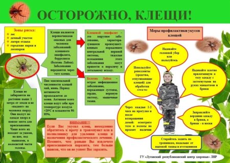 Осторожно, клещи!